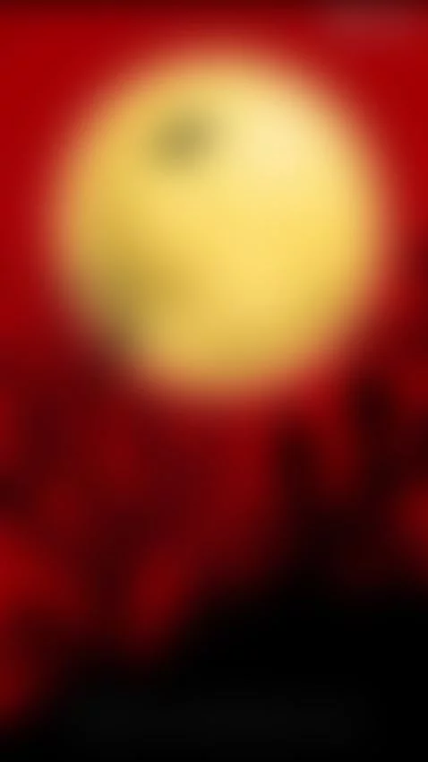 Happy Halloween! by lindsey-mae