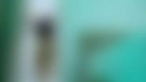 follow me love by melonsboobss