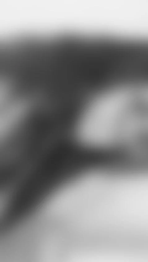 In shades of gray by goddess-ebonyy