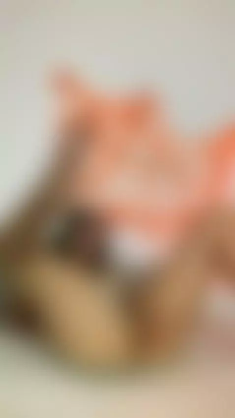 my favorite game 🍆🌸
https://onlyfans.com/valentinao1 by carlapalmerr