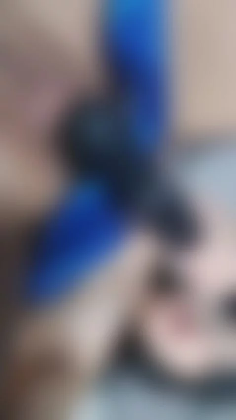 Video by ponyomisaki