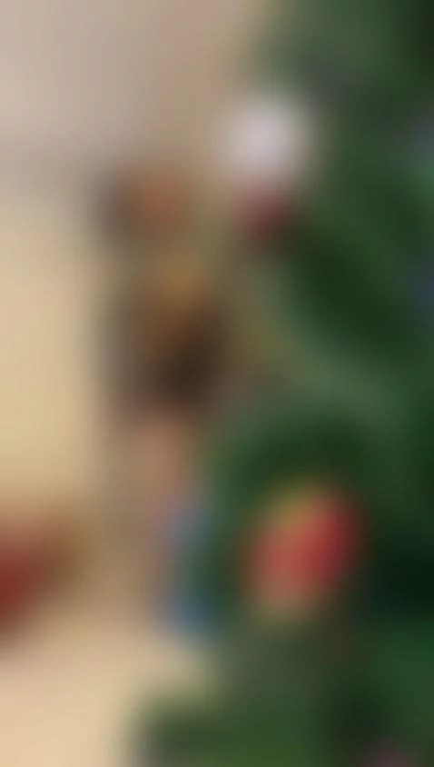 merry christmas by anaa-allen