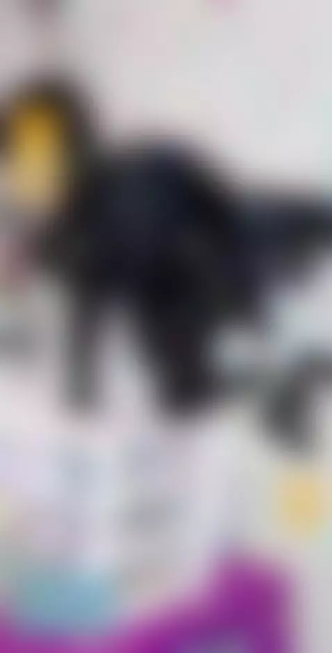 RollDaDyce by cumsoduh