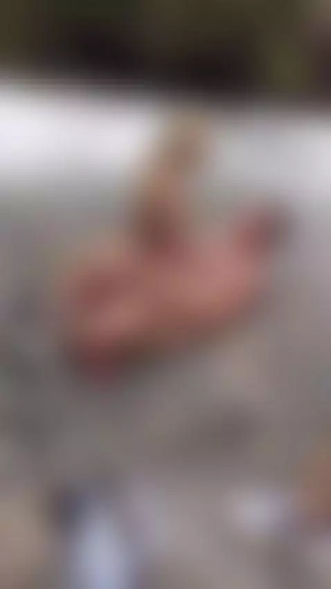 fuck me daddy by annrides