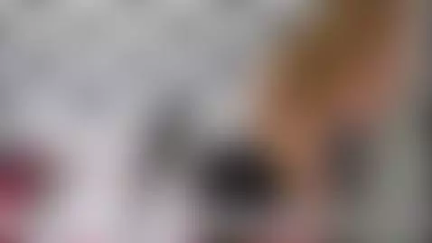 Tefi Santi coge con Elo Podcast by elopodcast