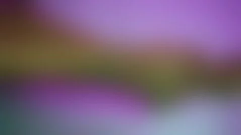 lick my feet slowly until you get where you want 😈👄 by hanna-petit