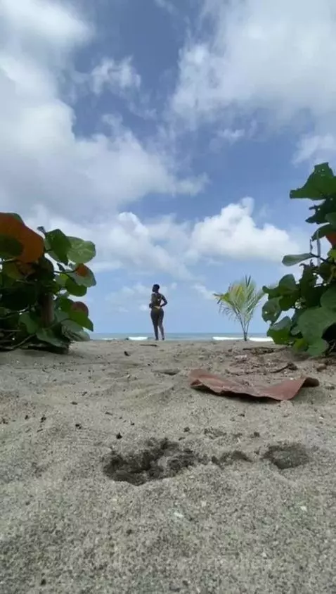 WALKING ON THE BEACH🌴 by irisallen