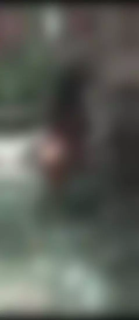 In nature by antonella-sl