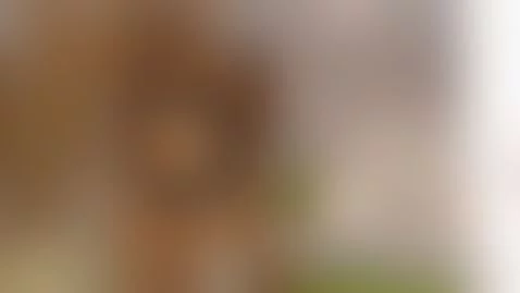 Sexy dance by noah-paeez