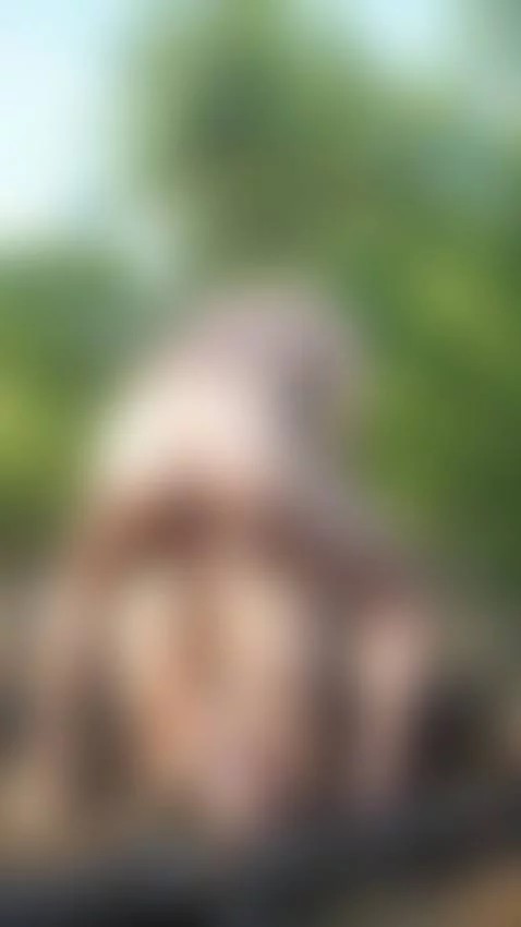 A walk in the forest and an extraordinary anal by cindy-yna