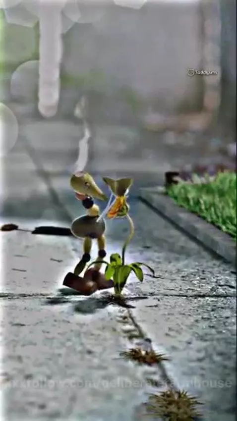 Video by deliberatefarmhouse