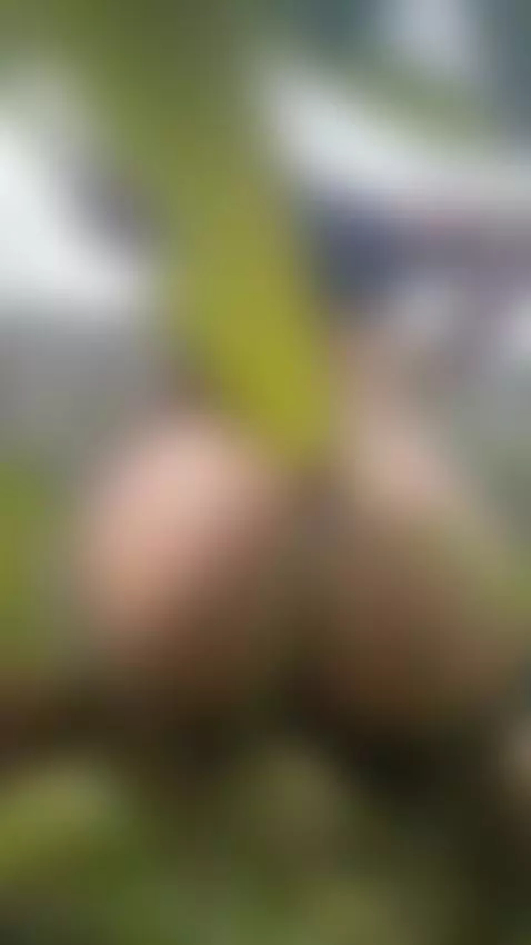 My loves, can you help me with your vote please in the first... by hellenferrer