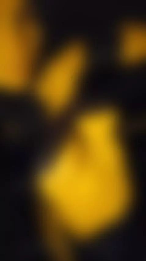 public, carplay, hellenferrer by hellenferrer