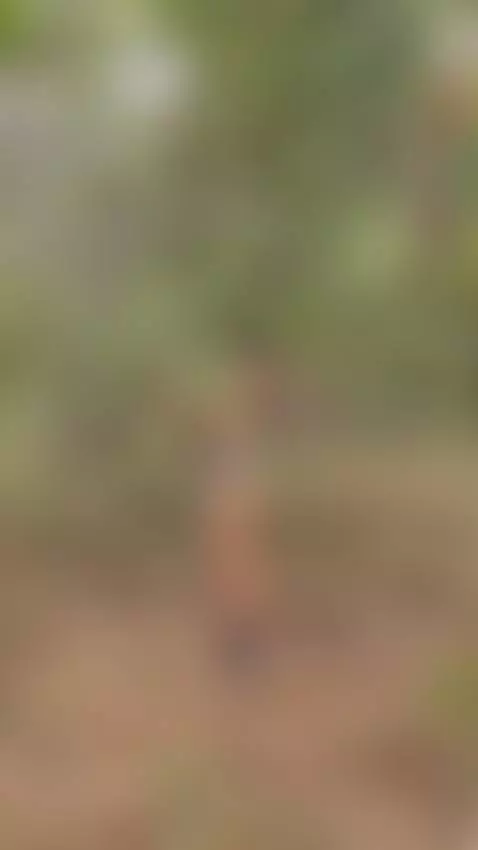 hellenferrer, public, bigass by hellenferrer