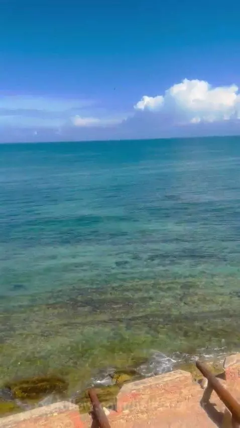 beach, hellenferrer, latina by hellenferrer