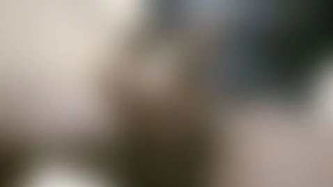 Video by melaninlicorice