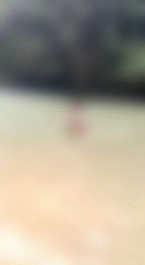 nature by cathaleiya