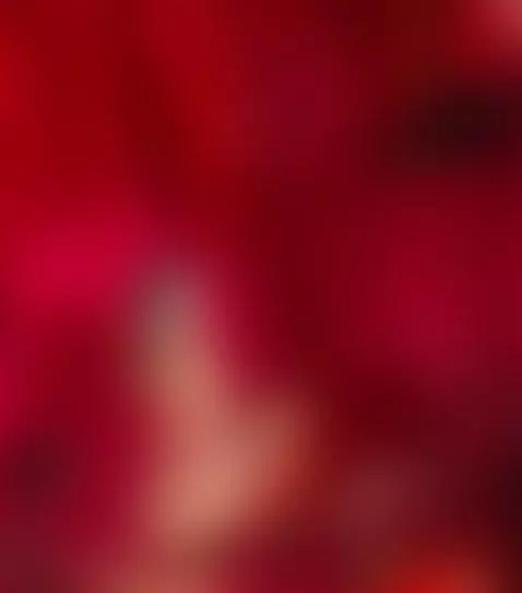 Photographic session by sharomross