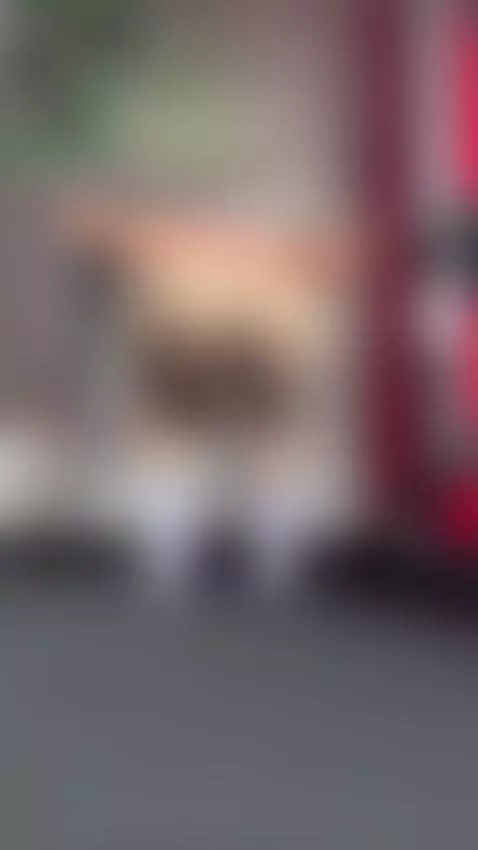 You like how my ass looks at the gym, daddy? 😈🔥 by sharomross