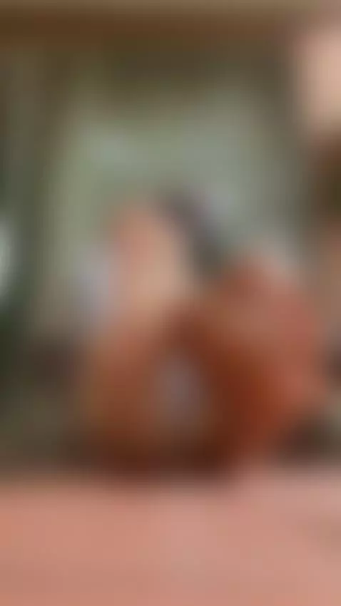 🐮🐄 by kittymiau