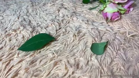 in bed by margaritakiss