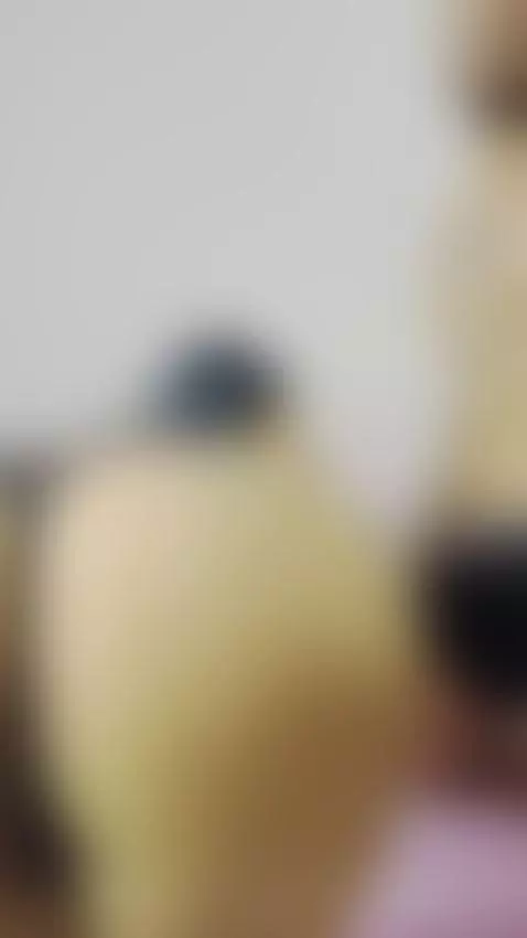 Do you want to help you whip? by sofiaa-jimenez