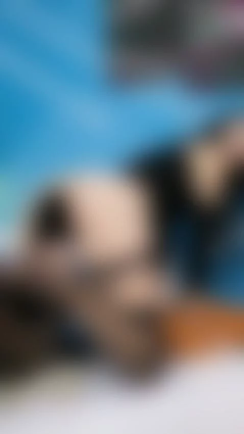 Pull my tail by purplay-lp