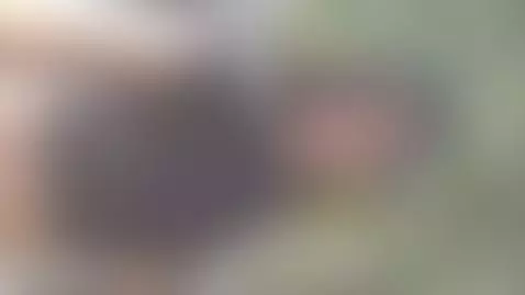 I’m live and so ready to brighten up your Tuesday. by lissaawild