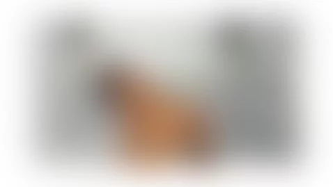 A bad girl getting ready for you by andrea-williams