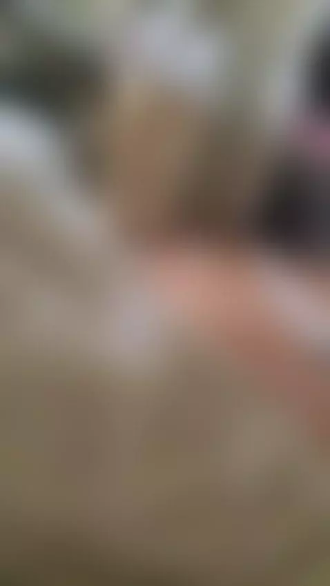 JANUARY31ST1988 #WESTCOAST #CSHIT #92708 #8CANTWAIT by nilamay777