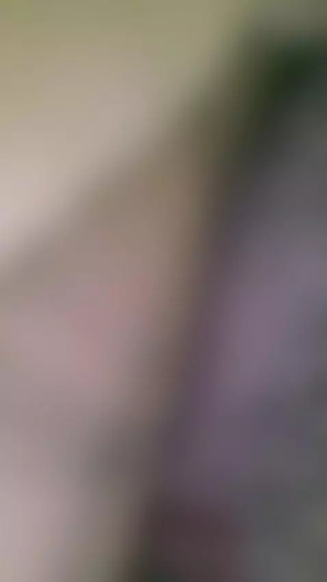 GAMBSKY ASSAULTS ON PIBLIC IMAGE AS BIOLOGICAL GRANDDAUGHTER... by nilamay777