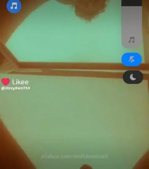 Live sessions by wolfdominant