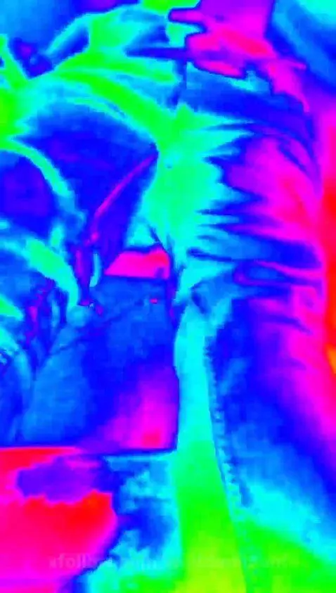 Live sessions wolfdominant by wolfdominant