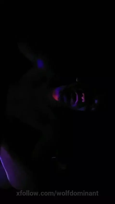 Wolfmodels69 live sessions by wolfdominant