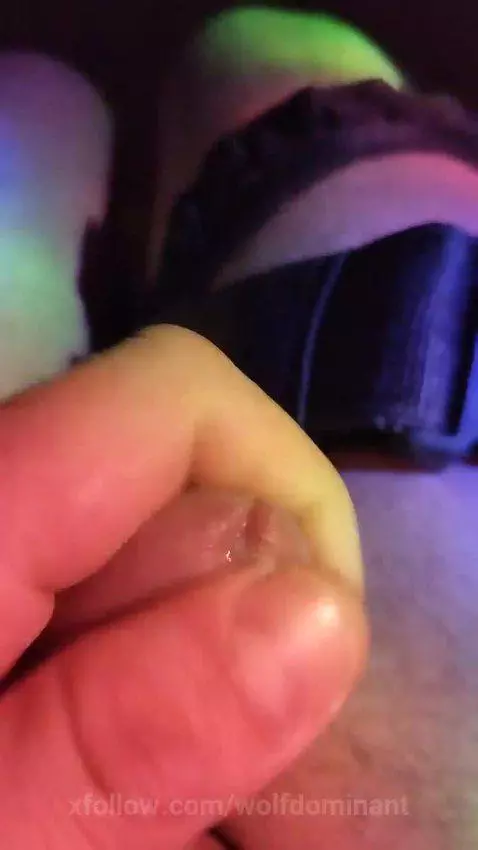 Wolfdominant live now by wolfdominant