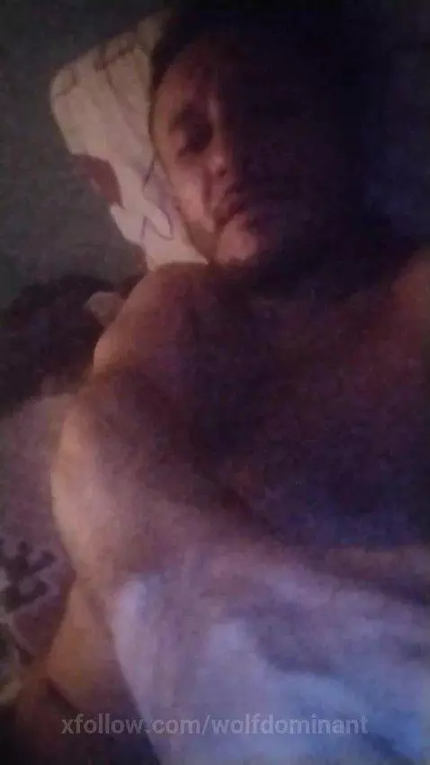 Wolfdominant by wolfdominant