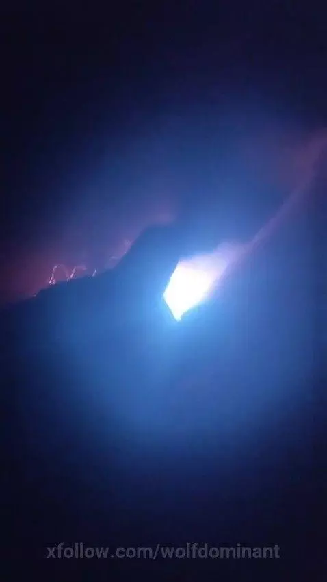 Falo's wolfdominant live sessions by wolfdominant