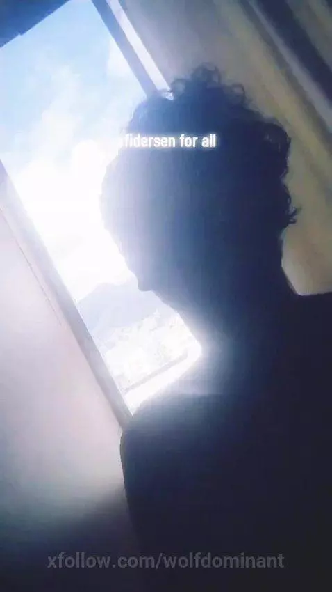 Wolfdominant live sessions by wolfdominant