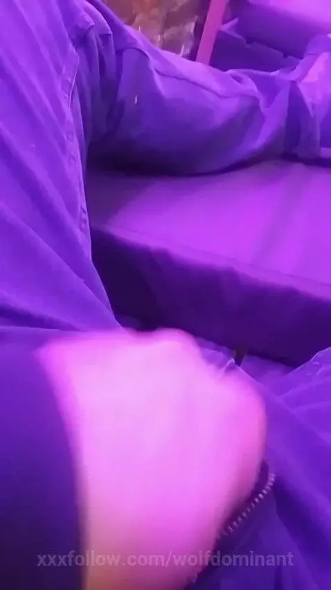 davydwolf69 live public sessions by wolfdominant