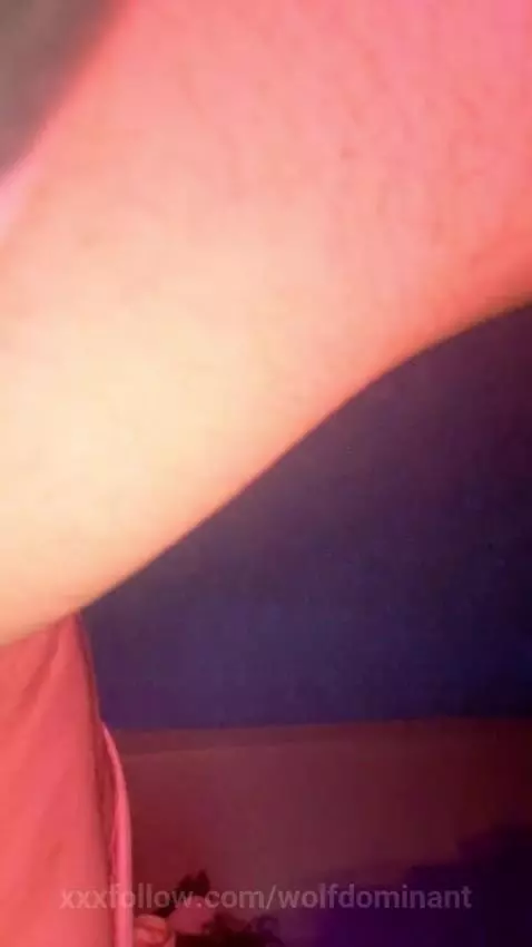 light pasion and wolf dick by wolfdominant