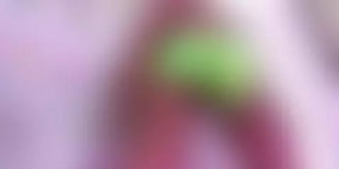 Come enjoy my special show by coco-kiiss