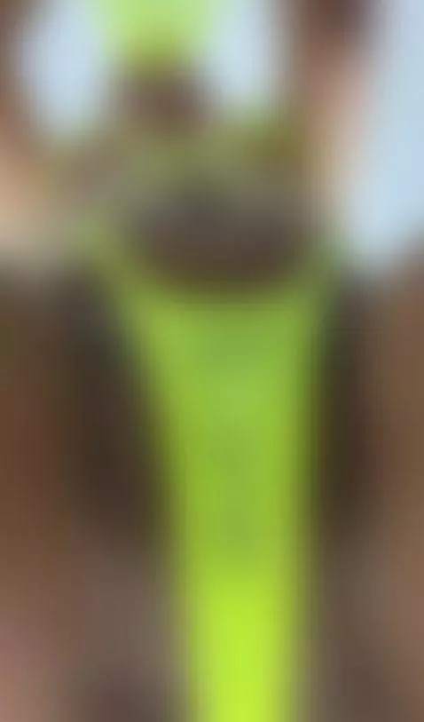 latina, pussy, pov by cherryblossom23