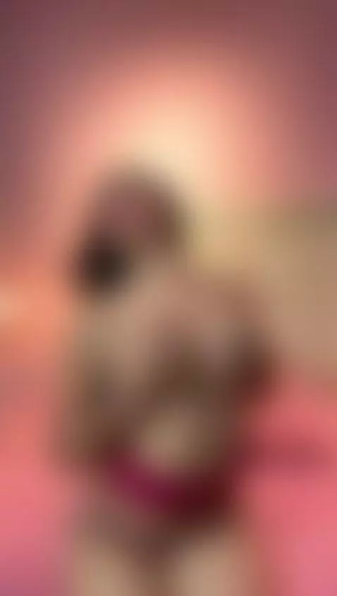 U wanna play today ?? 🥵 by cherryblossom23