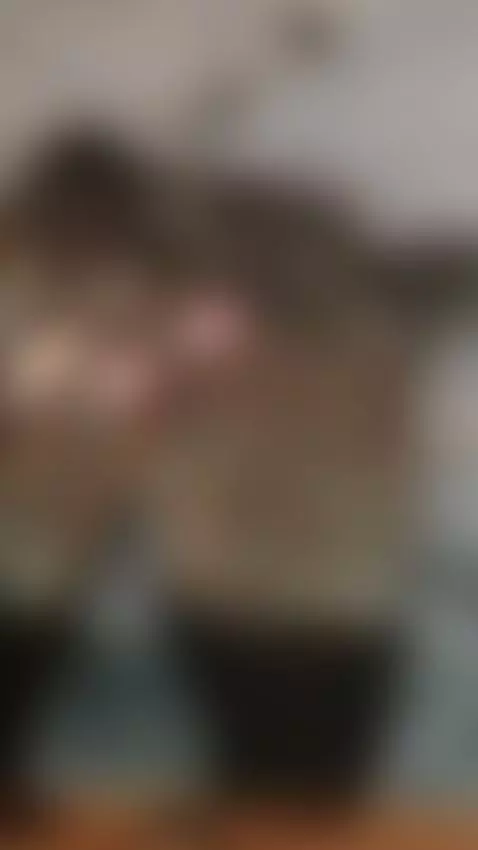 Do you dare to dominate me?🥵🍆😈💧 by danna-veelez