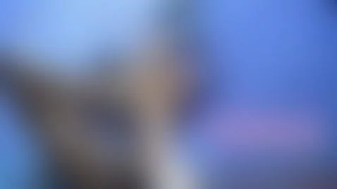 Fetiche feet by sofyarey