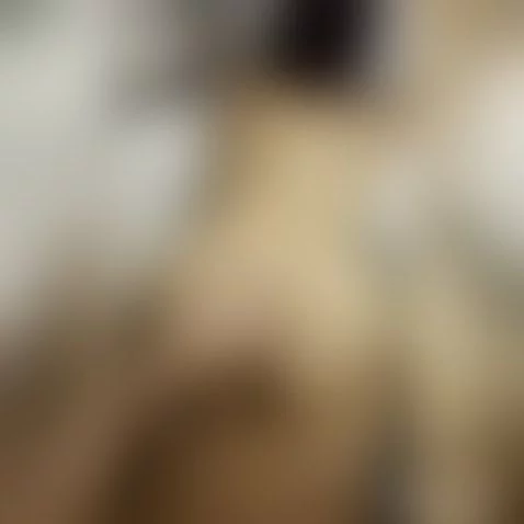 IF YA WANNA SEE MORE HOT CRAZY VIDEO PM ME $ tag GREAT PRICE... by eternalconda