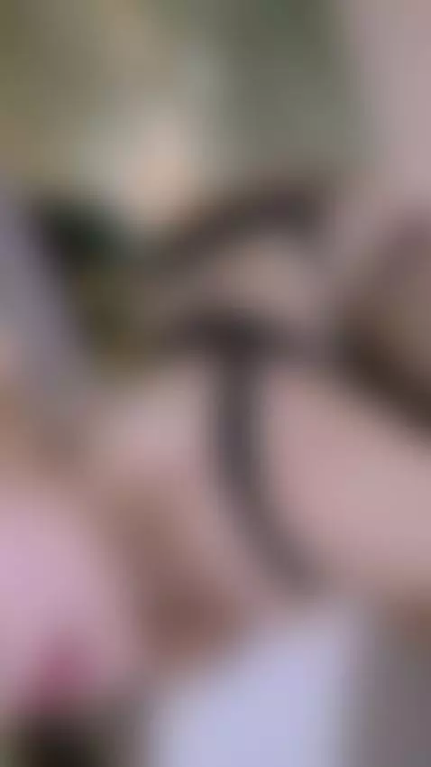 Your favorite fantasy is live now.🔥 by mollycruz