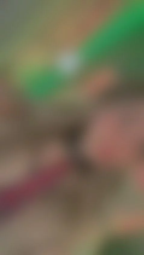 Plis teach me! by alice-ferrer