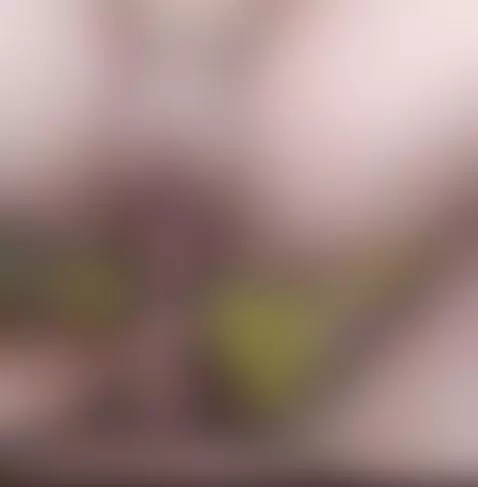 empurrei tudo na minha vizinha 😊😈 by joao16cm