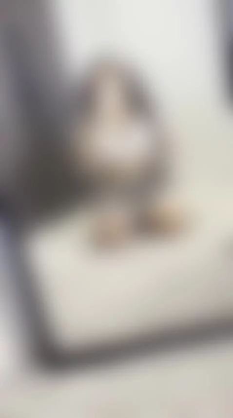 👇🏼CLICK HERE to chat to me :) by doubleddelilah